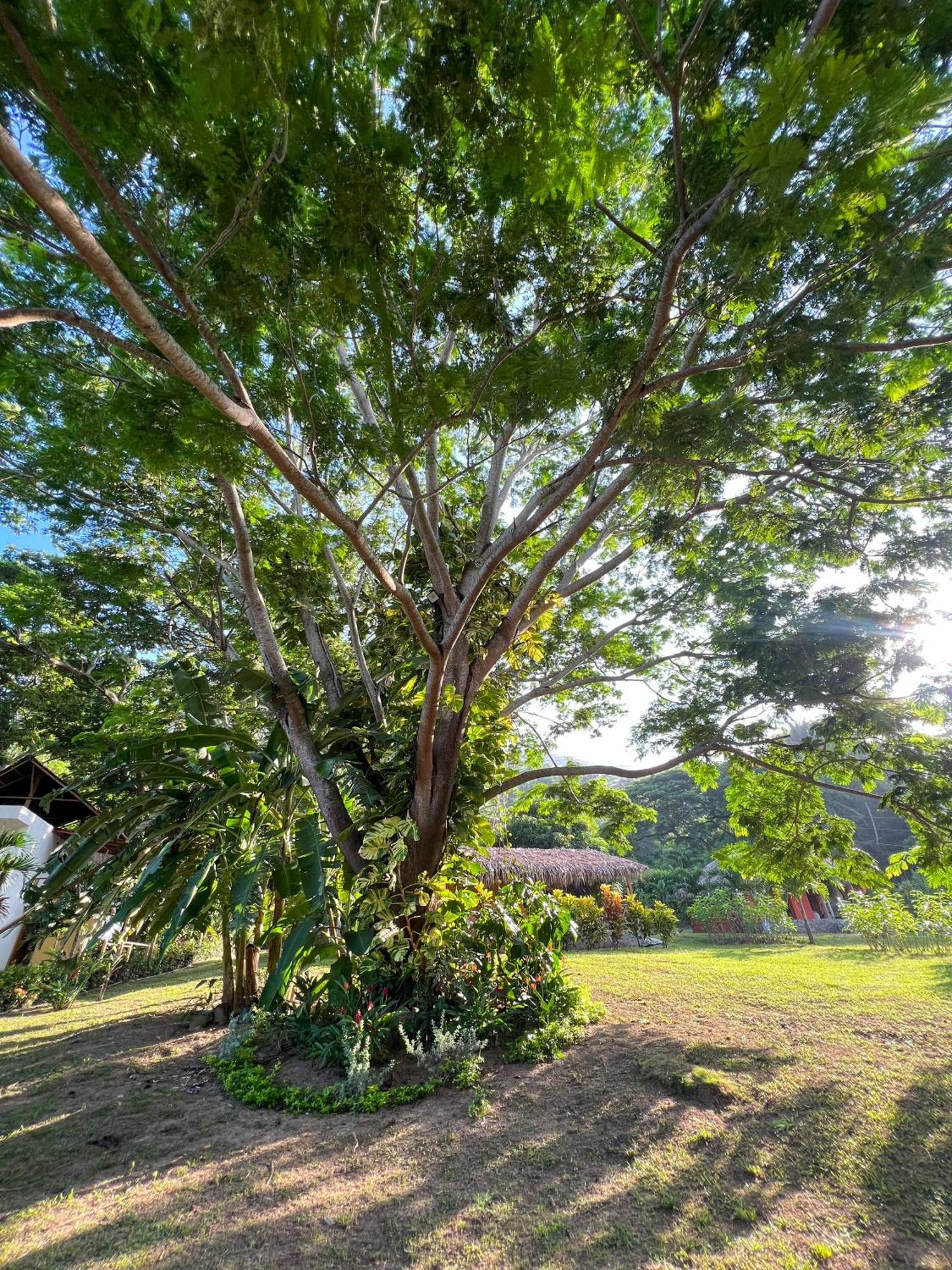 Tayrona Cachaco River Ecohostal El Zaino Exterior photo